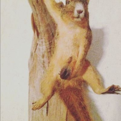 LivingCriminal's profile picture. I am the American Criminal.
https://t.co/F4dHvKCQWa…