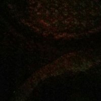 🐻 (@isaudib52) 's Twitter Profile