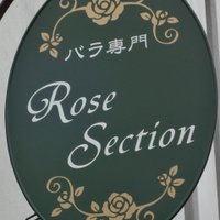rosesection(@rosesection) 's Twitter Profile Photo