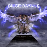 Bilge Baykuş T.O.L(@BilgeBaykusTOL) 's Twitter Profile Photo