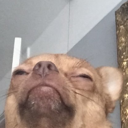 daisyhp2000's profile picture. 5 foot assassin