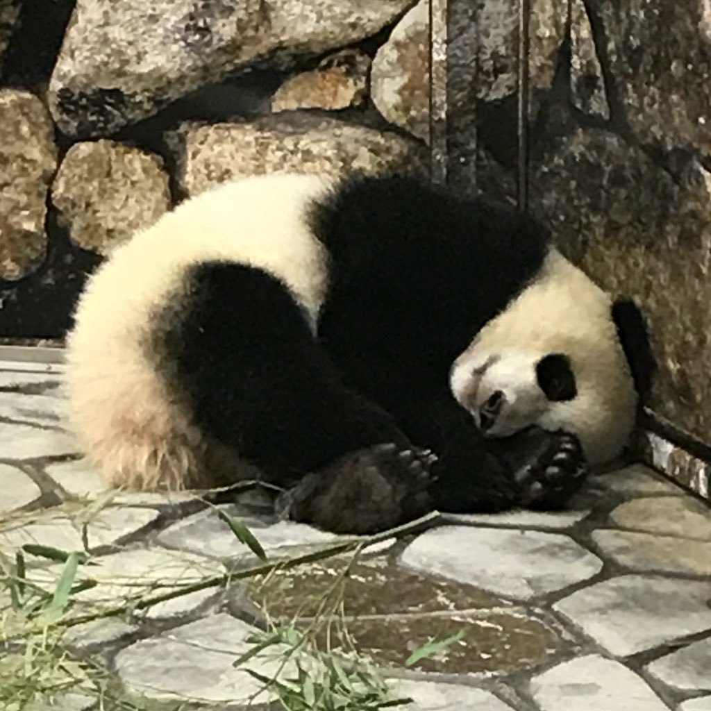 fukoik1125's profile picture. ネタバレします 突然推しや推しカプについて語り出します 二次元も三次元も好きです 腐ってるので注意