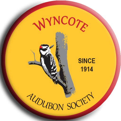 Founded 1914 as Wyncote Bird Club. National Audubon chapter serving Montgomery County and Philadelphia, PA. For monthly meetings, field trips & more, visit: