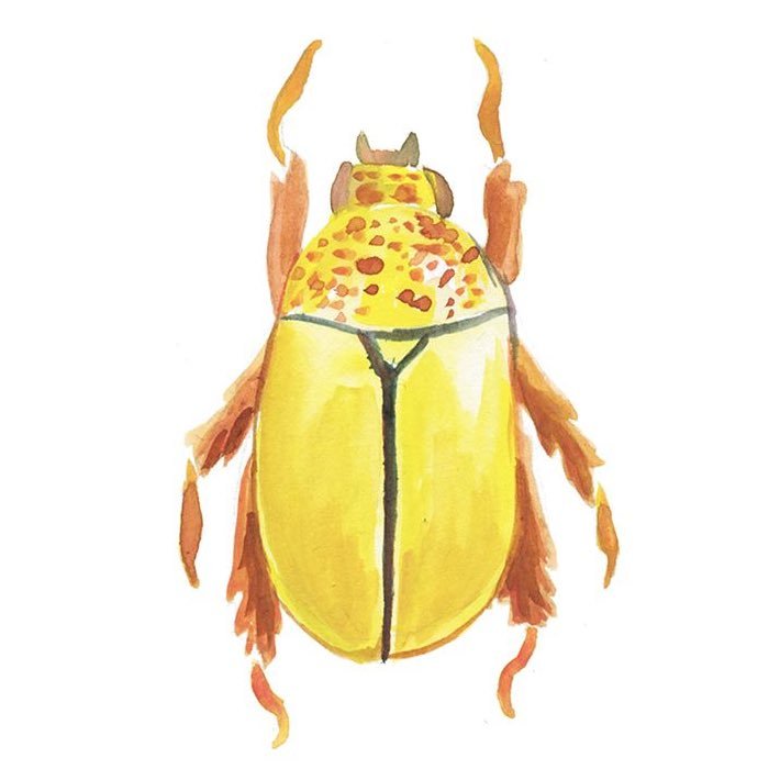 _ipso_facto's profile picture. 