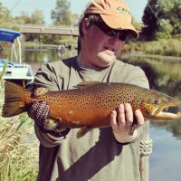 flyfishmap (@flyfishmap) 's Twitter Profile