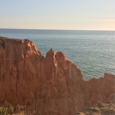 PaulW32026's profile picture. 