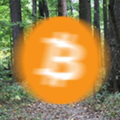 Bitcoin Standard Bearer, Shitcoin Regurgitator