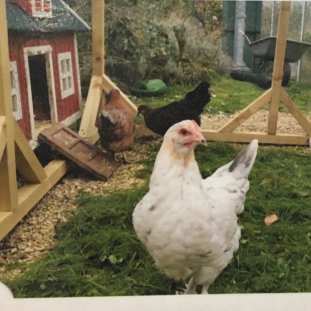 stocksbridgesci's profile picture. Stocksbridge High School Science dept