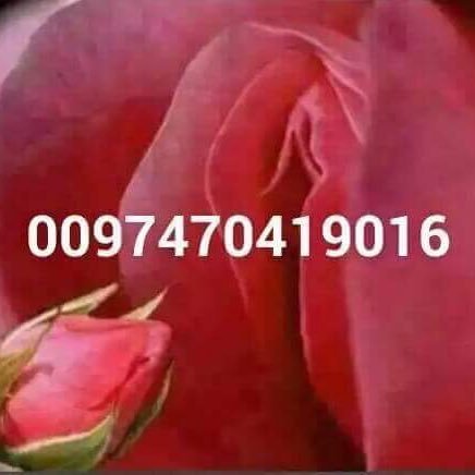 ezzatgalal5's profile picture. ezzat17009 اسكابي