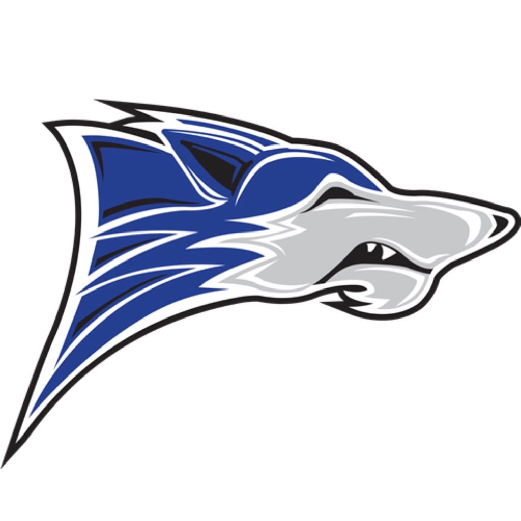 Official Twitter of the Chandler High Wolves Beach Volleyball Team #wolvesbeachteam 🐺🏐