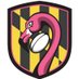 Baltimore Flamingos Rugby (@bmoreflamingos) Twitter profile photo Baltimore Flamingos Rugby (@bmoreflamingos) Twitter profile photo