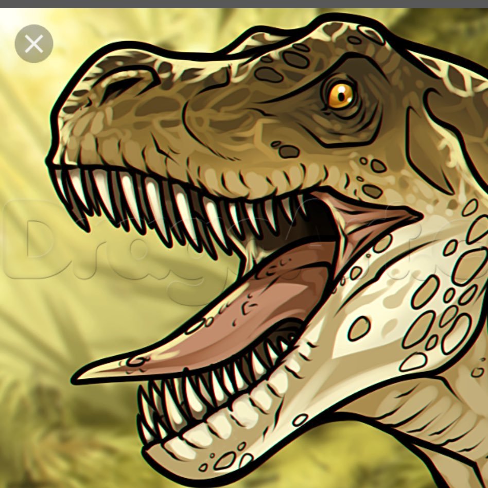 DNozzy_US's profile picture. Call Of Duty Prospect