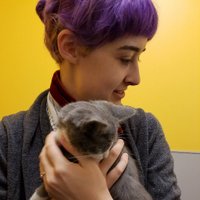 Mary Beth Kery ʕ •ᴥ•ʔ HCI Dr. (@mbkery) Twitter profile photo