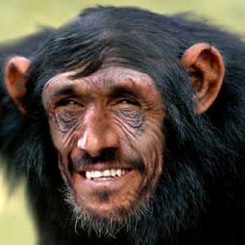 jesusman6969's profile picture. profesional science and jesus man. keep busy end times is near and all alien shall not go to heaven [PARODY]