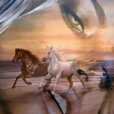 RvigD7lLj3zRCK8's profile picture. ‏‏بحث عن زوجه فيه ع خاص تعالو خاص ابغ من الباحه انا جاد