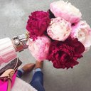 ف (@11Fatema) Twitter
