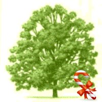 Pico Mali Linnaeus (@pierelint) 's Twitter Profile