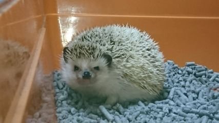 eNYfFp2me1EJO3A's profile picture. 