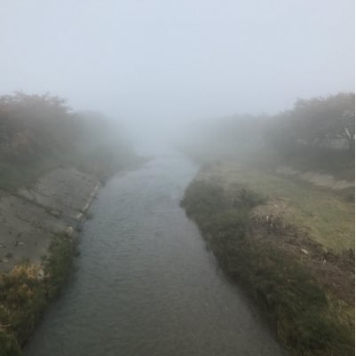 hanmabakino's profile picture. apex