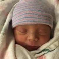 Debbi Bowden~OBrien (@serendebity) 's Twitter Profile