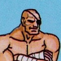 朱雀サガット (@suzakusagat) 's Twitter Profile Photo