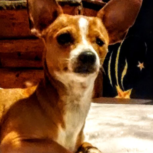 HELPTHEM13's profile picture. 