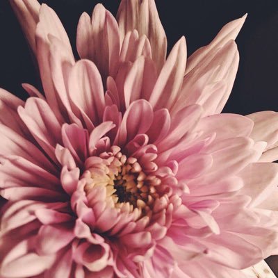 تسجيل في كل من (حافز طاقات/حساب المواطن/دروب/الاحوال المدنيه/جداره/الجامعات/قياس)والتحديث بأسعار منافسه وبالله التوفيق🕊💚 مرحبا بكم في اي وقت الخاص مفتوح~