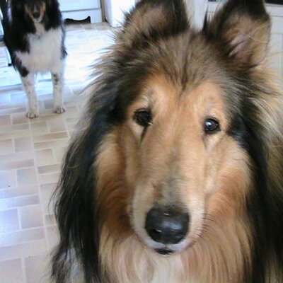 Profile Picture of John William Lovejoy (@haikutemple) on Twitter