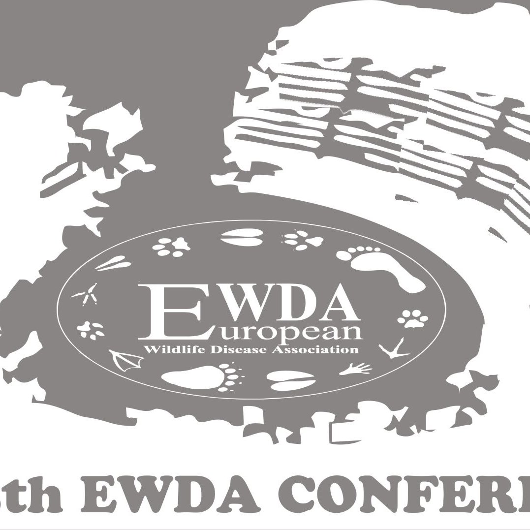 13th EWDA Conference