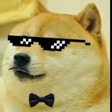 gamingmaxbr's profile picture. 