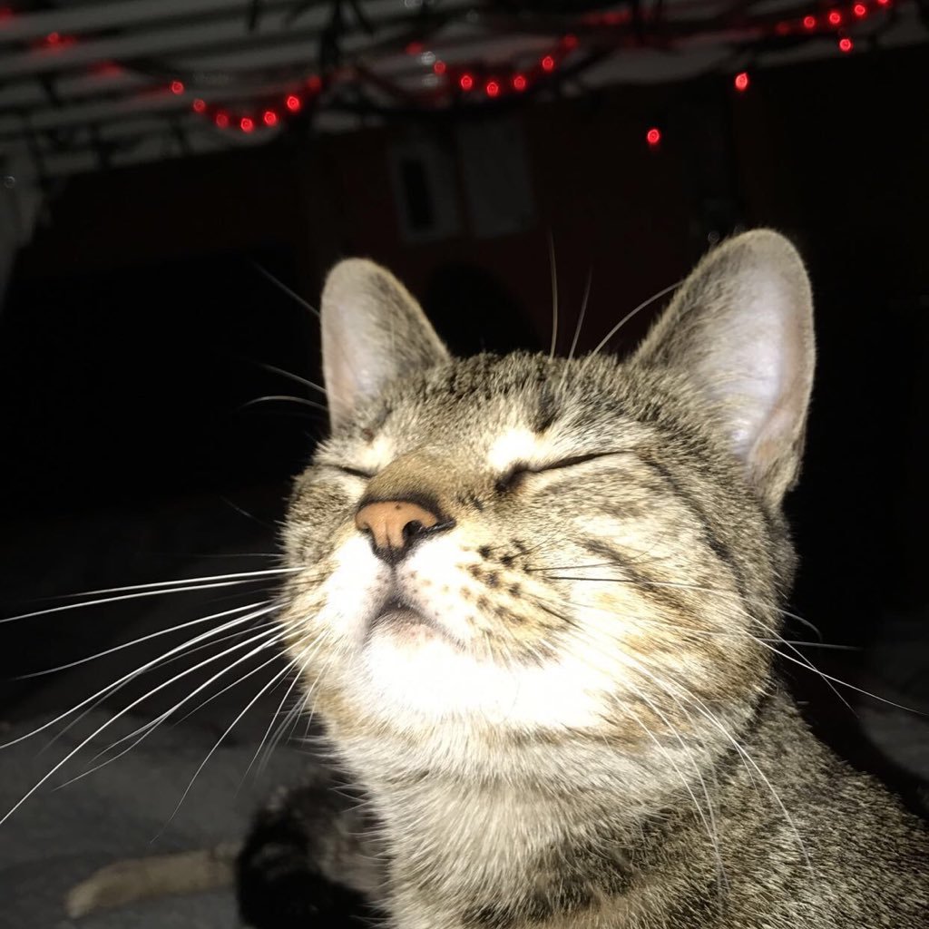 jackolson420's profile picture. 