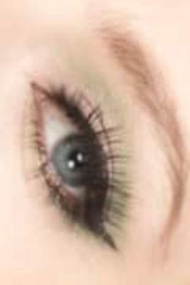 xxxxxlit's profile picture. 