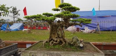 vungocduy1989's profile picture. 