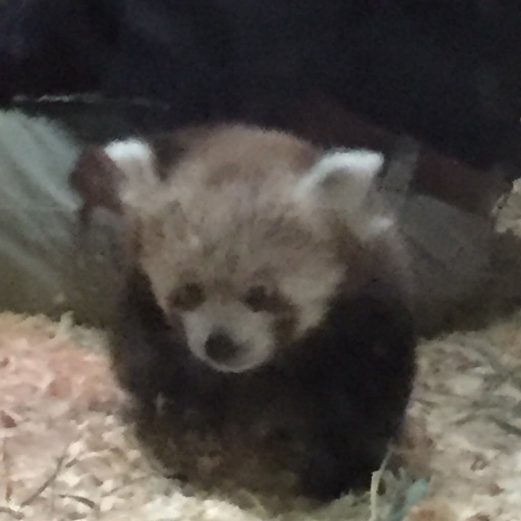 jwbusch's profile picture. 