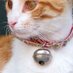 shortandcurlies (@shortandcurlie1) Twitter profile photo shortandcurlies (@shortandcurlie1) Twitter profile photo