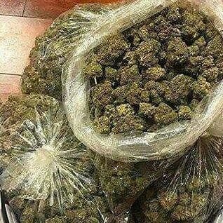 Wake and Bake