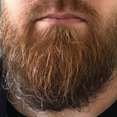 jholland75010's profile picture. On the next bull-run everybody talks about Oracles 🤑