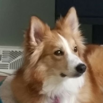 sewfunjp's profile picture. 