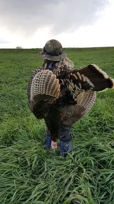 Doctor of Physical Therapy, Husker fanatic, avid outdoorsman, wanna-be team roper and dabbler in the cattle industry.