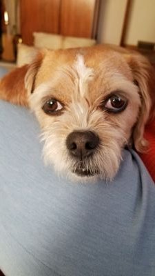 Jettbird Profile