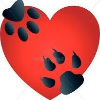 RobboMichael's profile picture. 