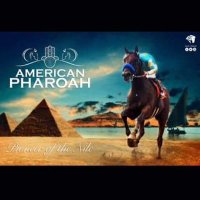 محمود الطوبجي (@mahmoudtobgy1) 's Twitter Profile