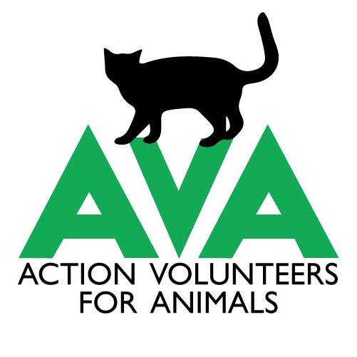 Action Volunteers for Animals is an all volunteer animal rescue  dedicated to improving the lives of stray, feral and homeless animals
Reg: 118777408RR0001