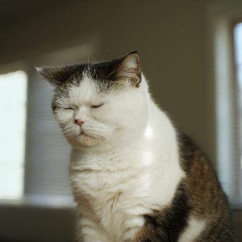 zhvb3's profile picture. 