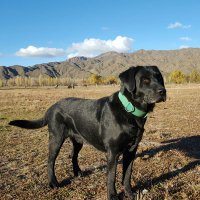 Mario Alvarez🇦🇷🇺🇦🇦🇷 (@marioalvarez237) 's Twitter Profile