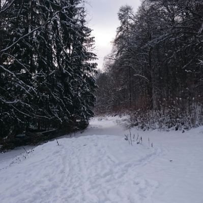 DavidViczz's profile picture. 