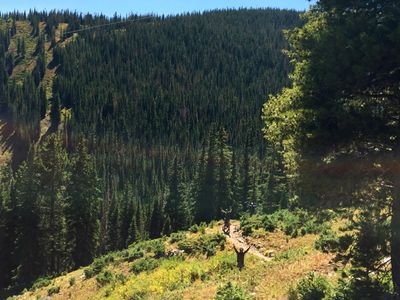 Ladix32's profile picture. 