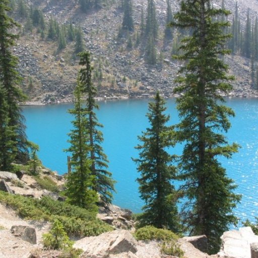 SRIRAM038's profile picture. 