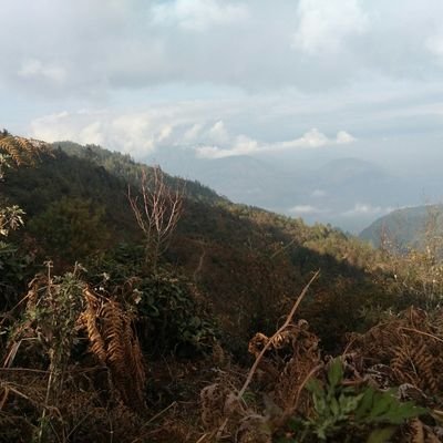 Lobsang5206's profile picture. 