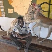 G T Mada (@gordonmada) 's Twitter Profile